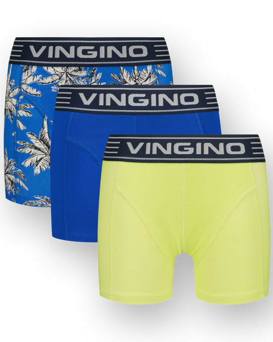 Boxer B251 palm 3-pack