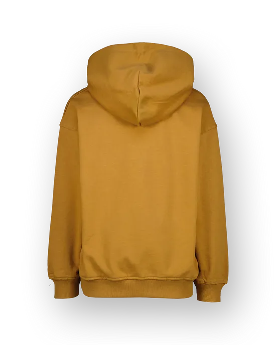 Sweatshirt Icon-hoody