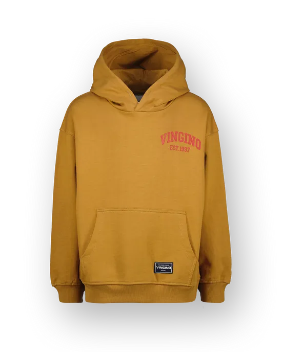 Sweatshirt Icon-hoody