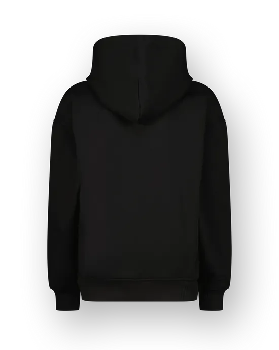 Sweatshirt Icon-hoody