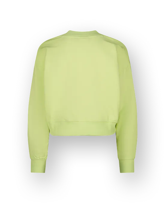 Sweatshirt Basic-V neck
