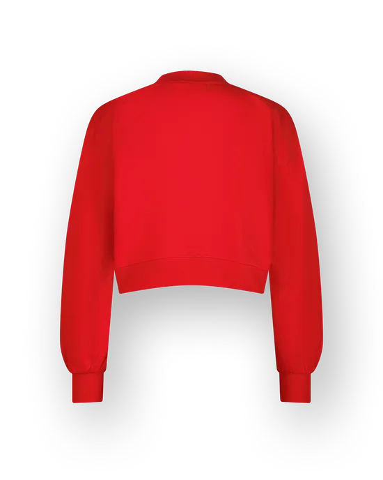 Sweatshirt Basic-V neck