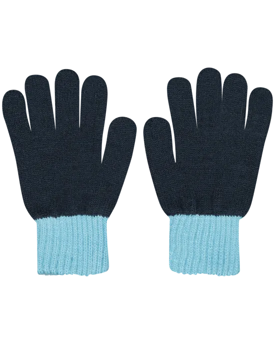 Gloves Ver