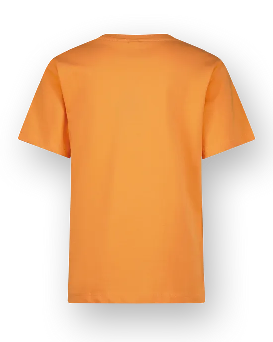 T-shirt Hoto