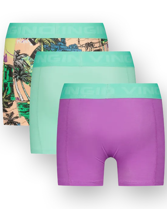 Boxer B251 leaves 3-pack